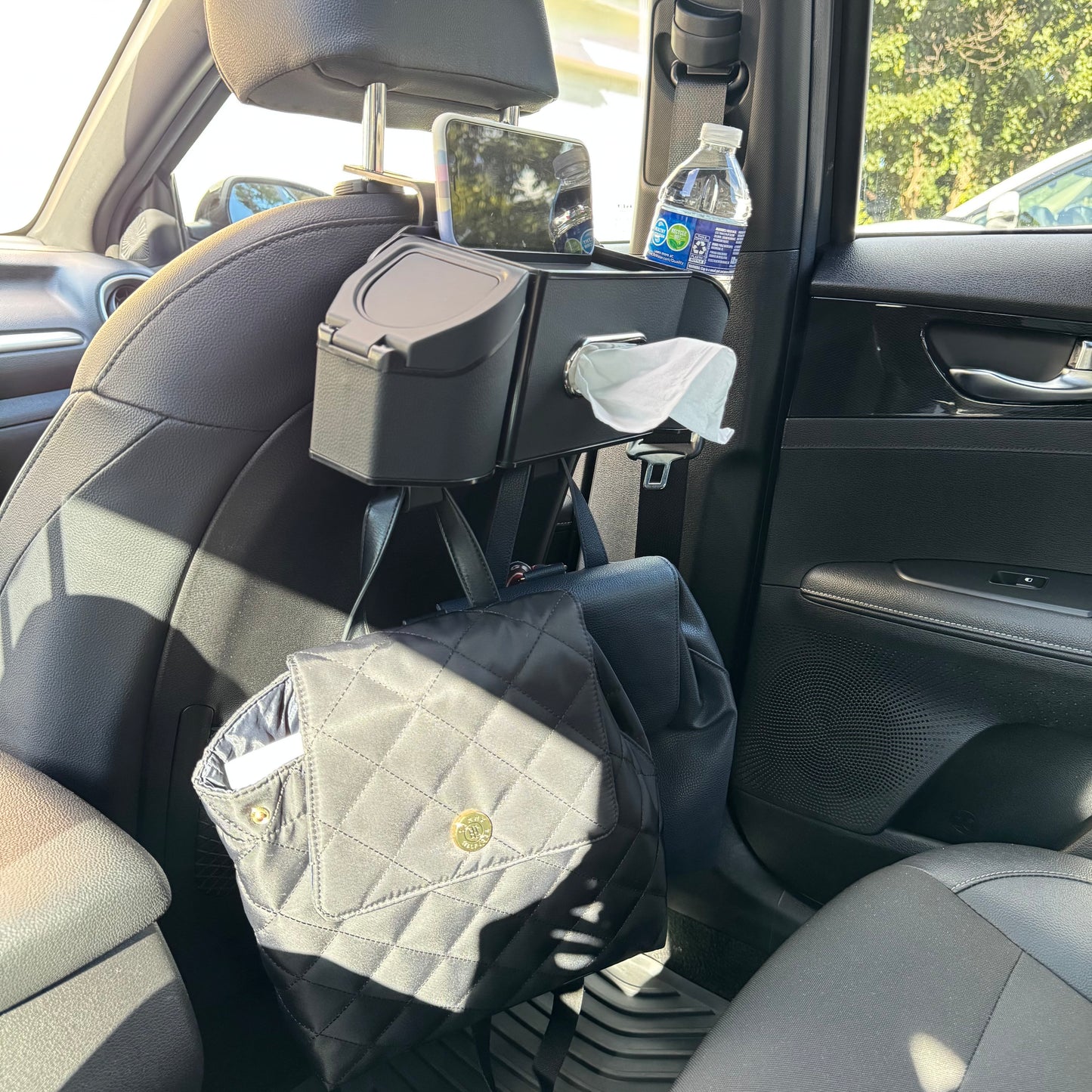 CarBack Pro Organizer